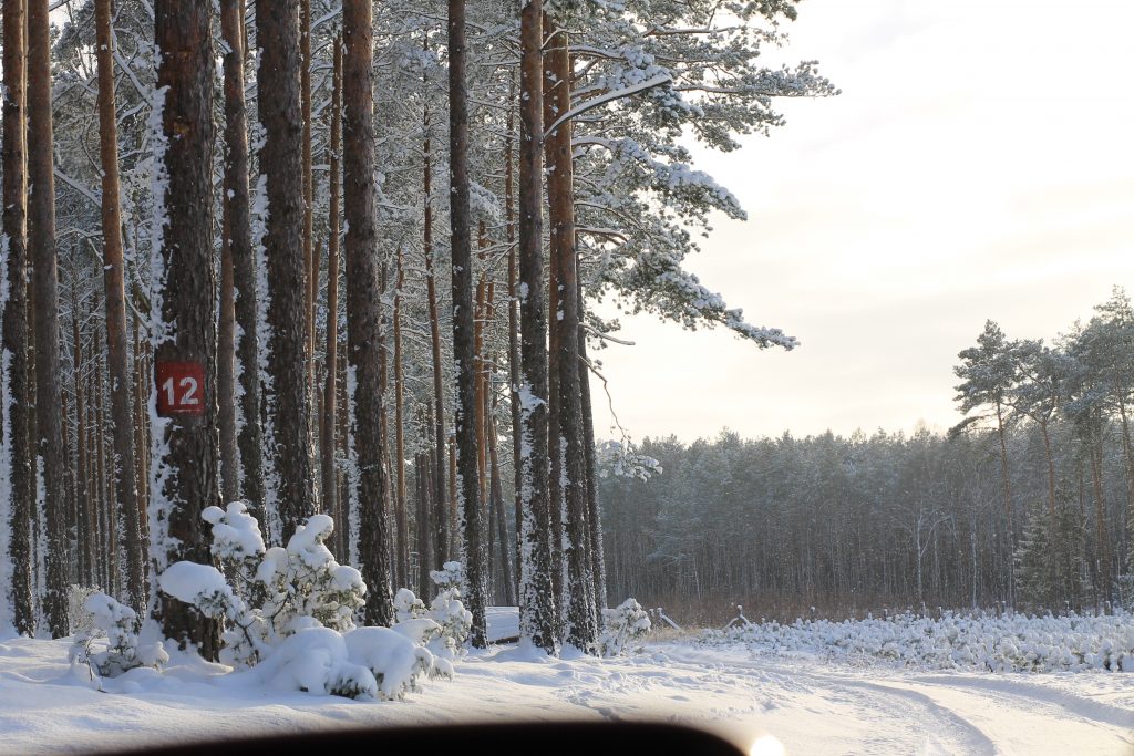 Zima na fotografii